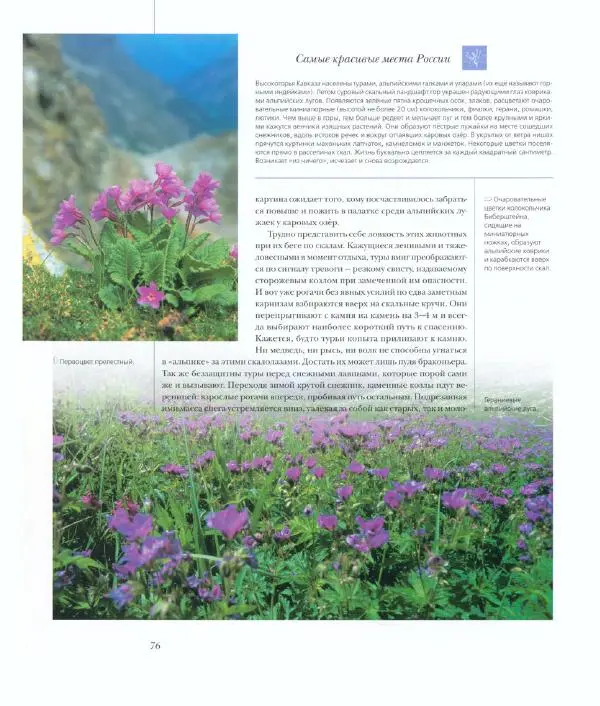  Коллектив авторов - Самые красивые места России - Страница № 81