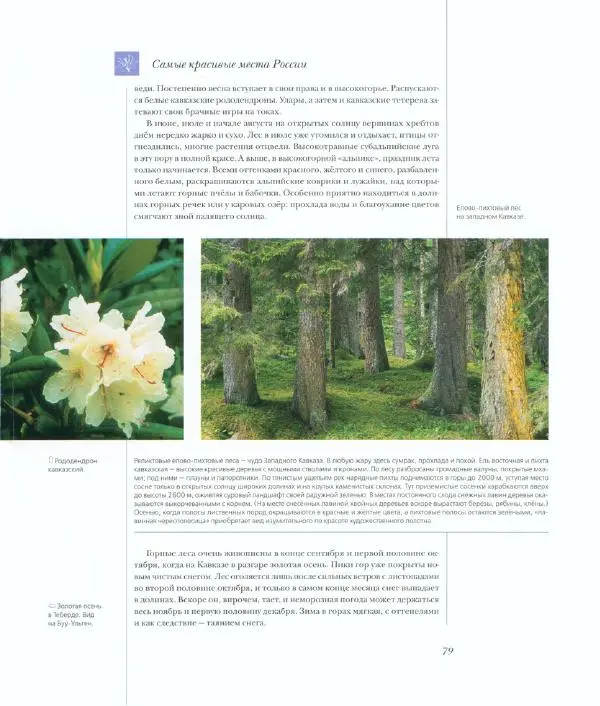  Коллектив авторов - Самые красивые места России - Страница № 84