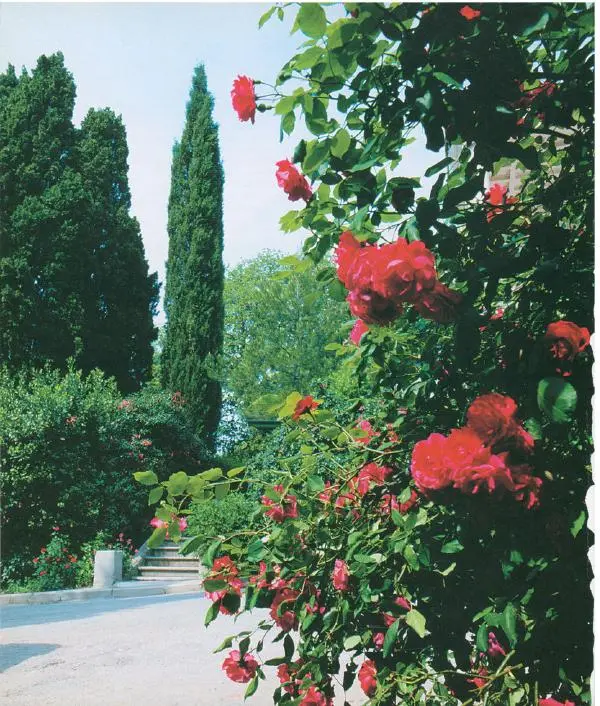  Коллектив авторов - Самые красивые места России - Страница № 85