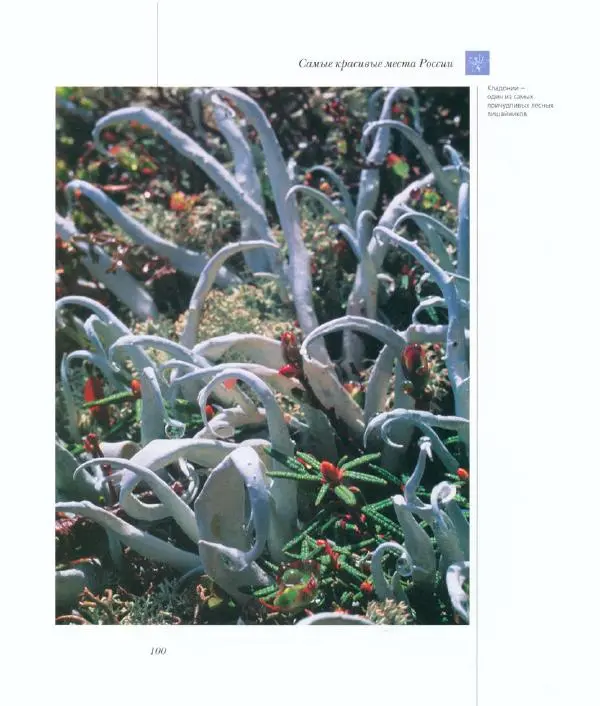 Коллектив авторов - Самые красивые места России - Страница № 105