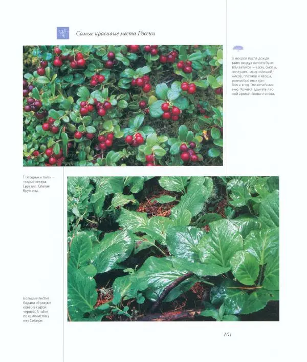  Коллектив авторов - Самые красивые места России - Страница № 106