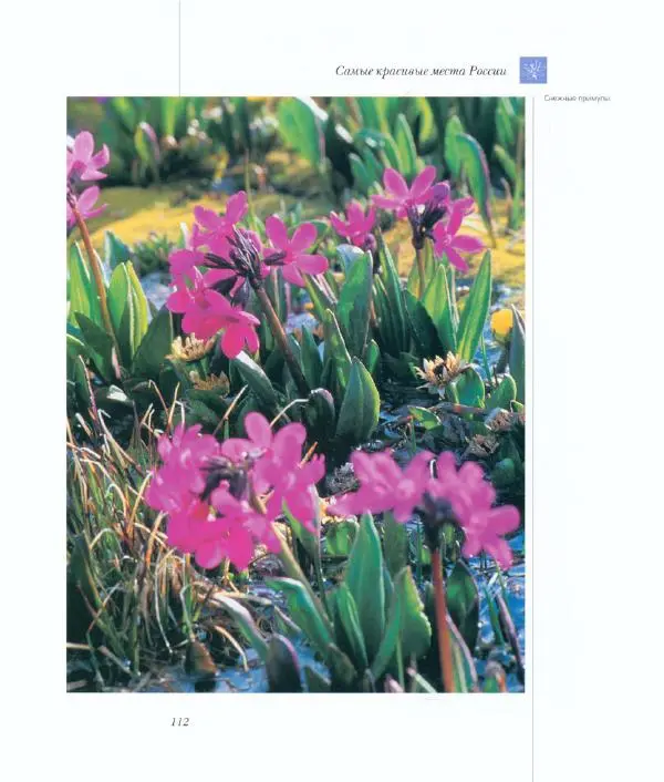  Коллектив авторов - Самые красивые места России - Страница № 117