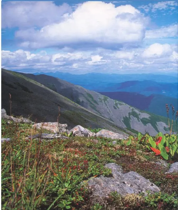  Коллектив авторов - Самые красивые места России - Страница № 151