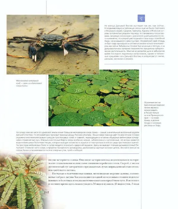  Коллектив авторов - Самые красивые места России - Страница № 153