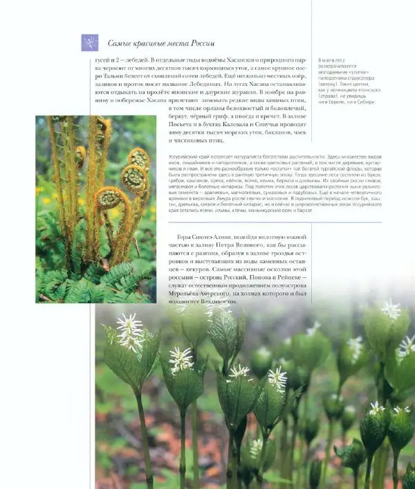  Коллектив авторов - Самые красивые места России - Страница № 154