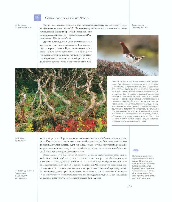  Коллектив авторов - Самые красивые места России - Страница № 164