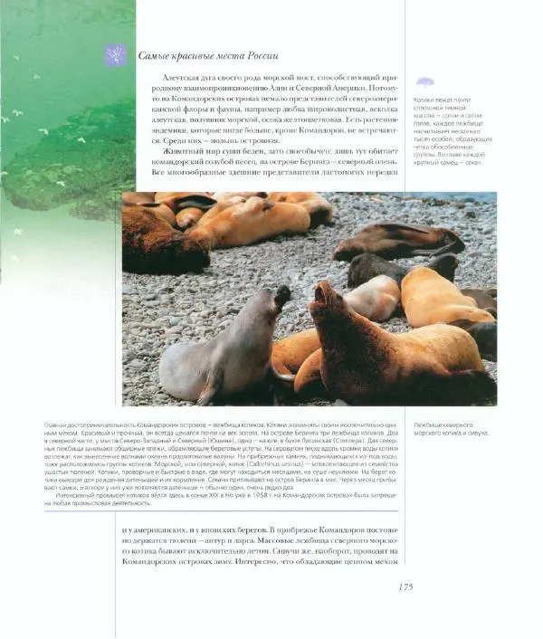  Коллектив авторов - Самые красивые места России - Страница № 180
