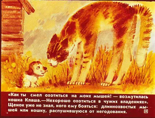 Наталья Абрамцева - А я кто? - Страница № 20