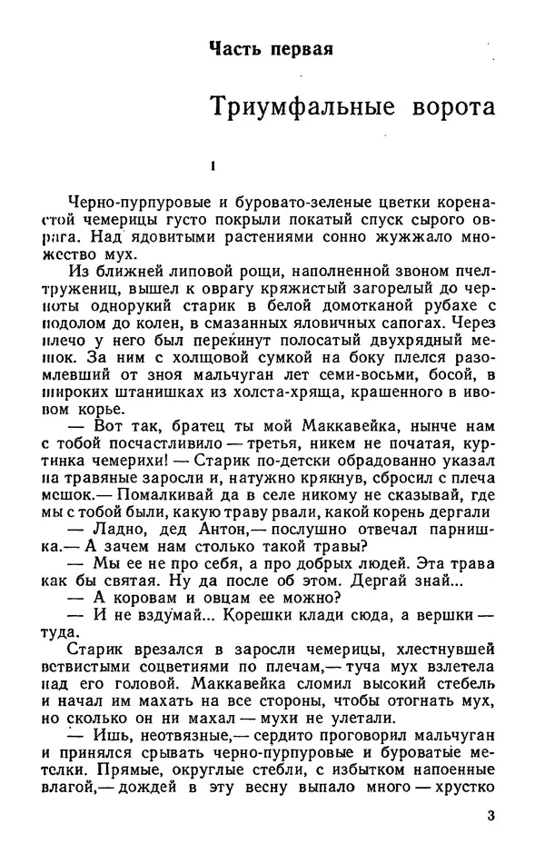 Михаил Кочнев - Дело всей России - Страница № 5