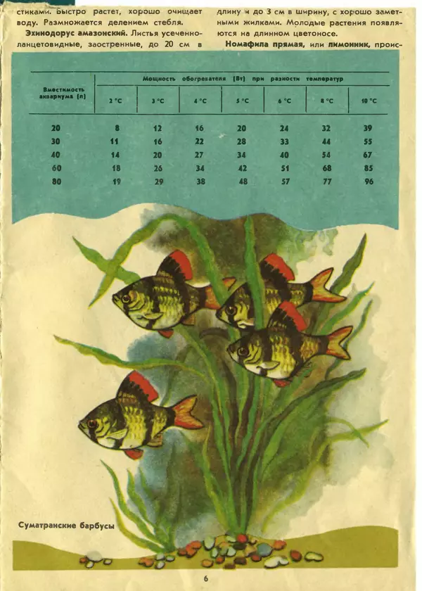 И. Шереметьев - Ваш первый аквариум - Страница № 7