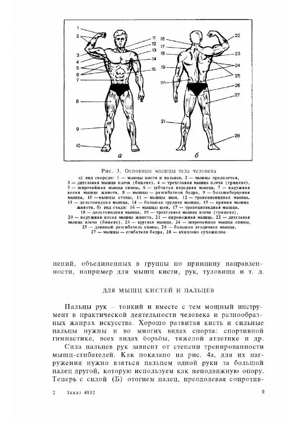 Владимир Фохтин - Атлетизм — дома (упражнения без снарядов). Выпуск 3 - Страница № 10