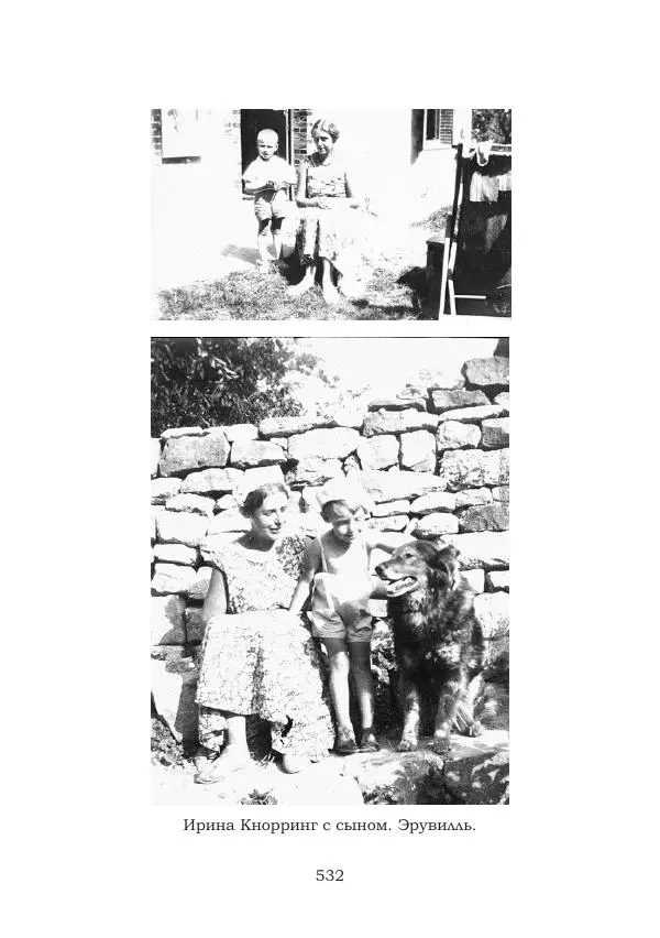 Ирина Кнорринг - Золотые миры - Страница № 532