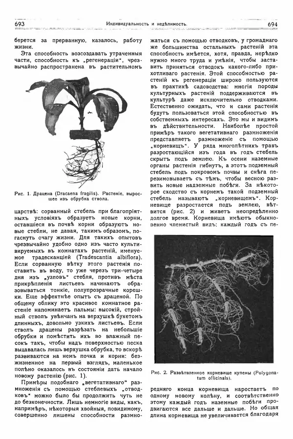  журнал «Природа» - Природа 1914 №06 - Страница № 29