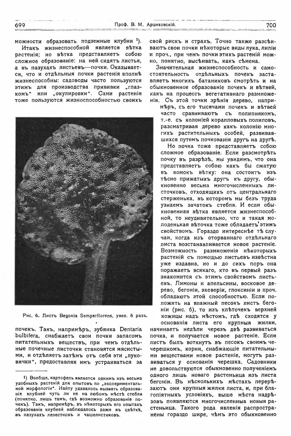  журнал «Природа» - Природа 1914 №06 - Страница № 32