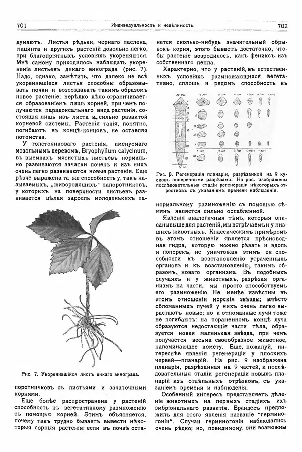  журнал «Природа» - Природа 1914 №06 - Страница № 33
