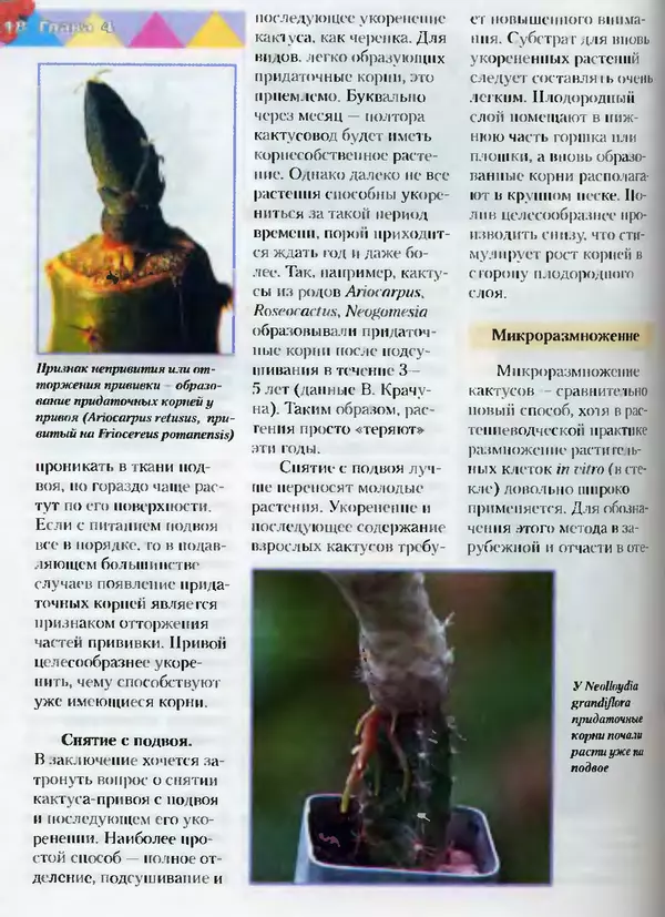 Сергей Батов - Секреты выращивания кактусов - Страница № 118