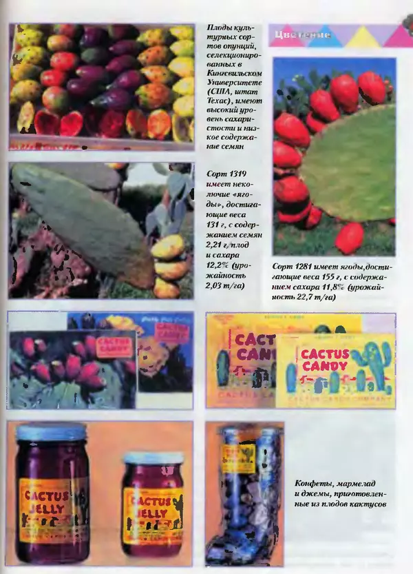 Сергей Батов - Секреты выращивания кактусов - Страница № 145