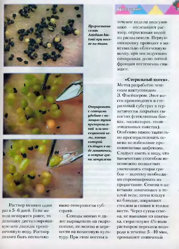 Сергей Батов - Секреты выращивания кактусов - Страница № 155