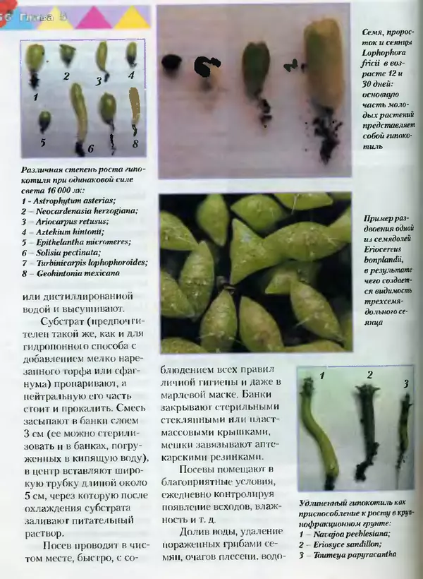Сергей Батов - Секреты выращивания кактусов - Страница № 156
