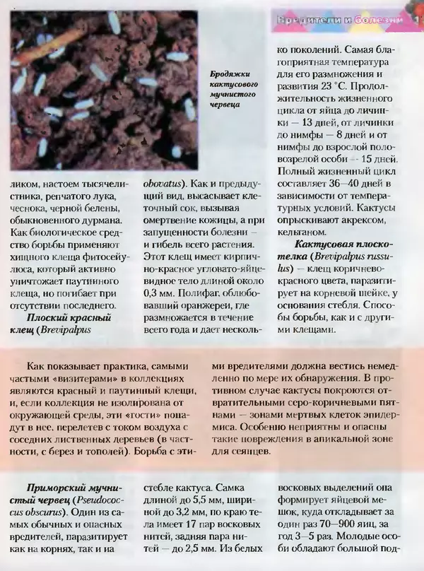 Сергей Батов - Секреты выращивания кактусов - Страница № 177