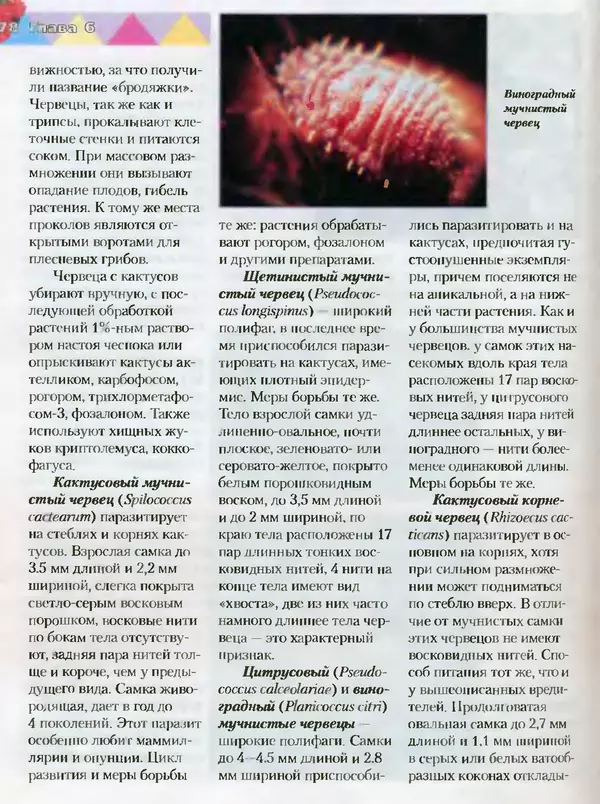 Сергей Батов - Секреты выращивания кактусов - Страница № 178