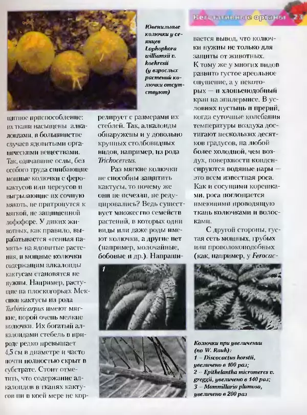 Сергей Батов - Секреты выращивания кактусов - Страница № 23