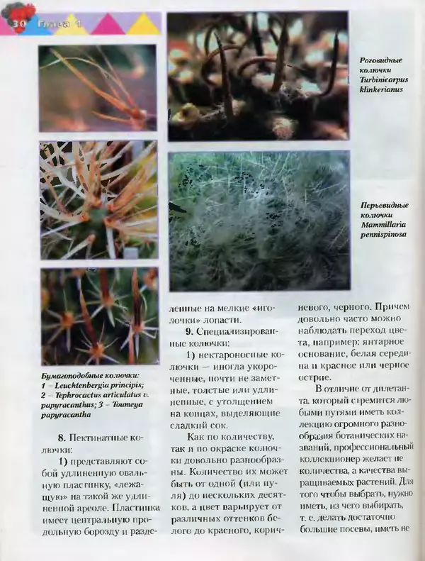 Сергей Батов - Секреты выращивания кактусов - Страница № 30