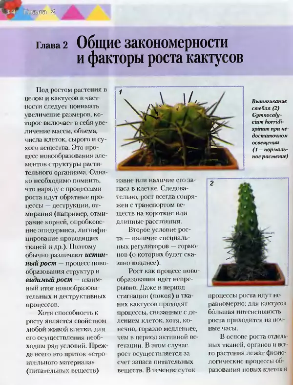 Сергей Батов - Секреты выращивания кактусов - Страница № 34