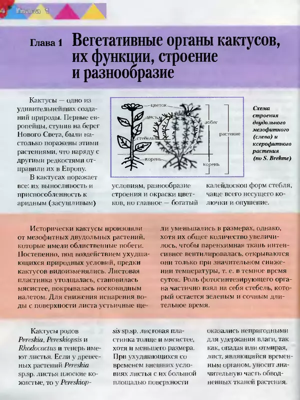 Сергей Батов - Секреты выращивания кактусов - Страница № 4