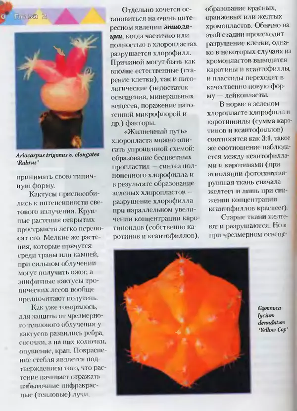 Сергей Батов - Секреты выращивания кактусов - Страница № 50