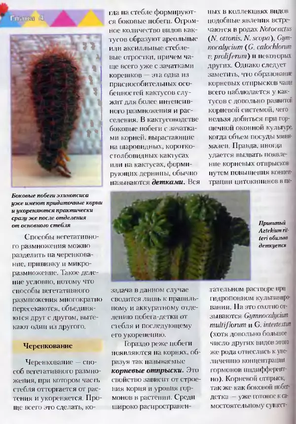 Сергей Батов - Секреты выращивания кактусов - Страница № 90