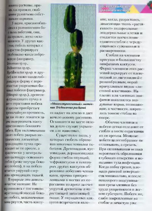 Сергей Батов - Секреты выращивания кактусов - Страница № 91