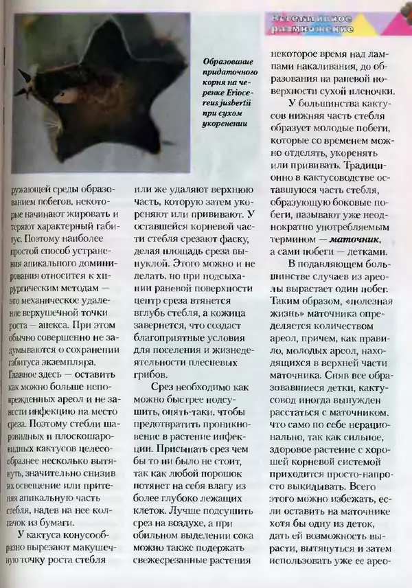 Сергей Батов - Секреты выращивания кактусов - Страница № 93