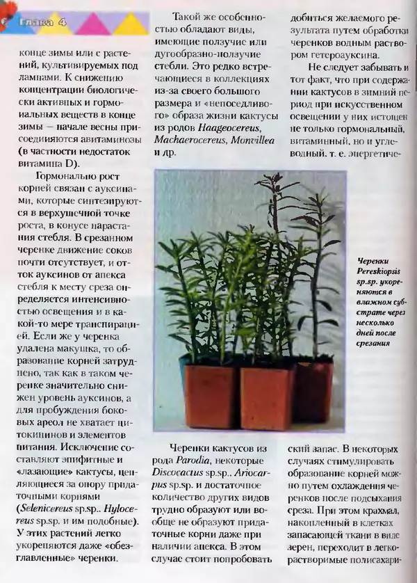Сергей Батов - Секреты выращивания кактусов - Страница № 96