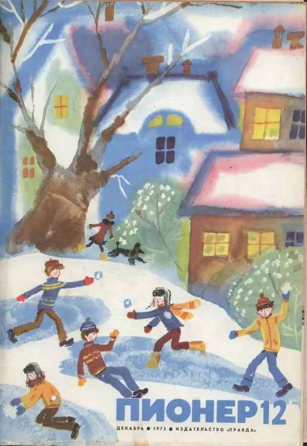 Валерий Медведев - Олимпийские тигры - Страница № 1