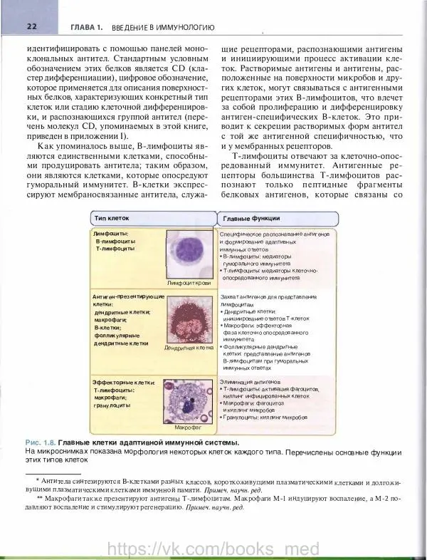 Абул Аббас - Основы иммунологии. Функции иммунной системы и их нарушения - Страница № 17