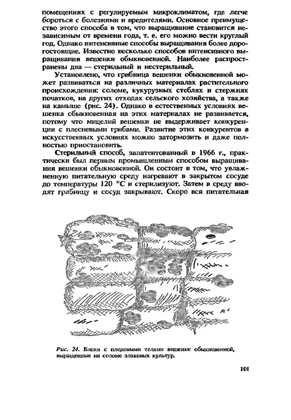 C. Вассер - Съедобные и ядовитые грибы Карпат. Справочник - Страница № 101