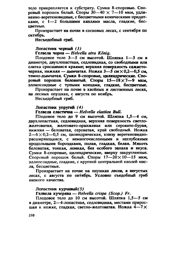 C. Вассер - Съедобные и ядовитые грибы Карпат. Справочник - Страница № 110