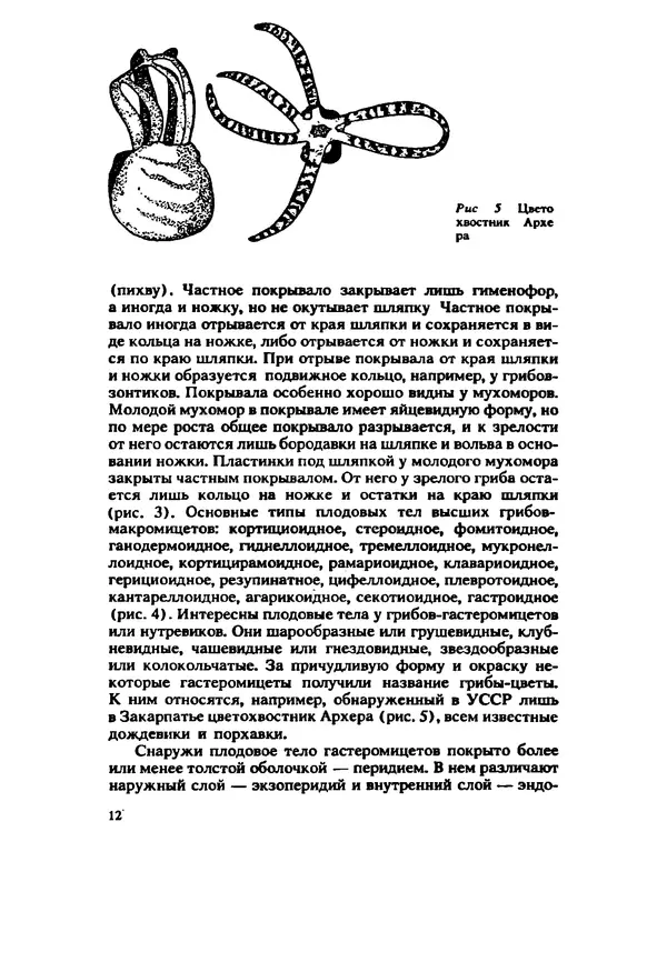 C. Вассер - Съедобные и ядовитые грибы Карпат. Справочник - Страница № 12