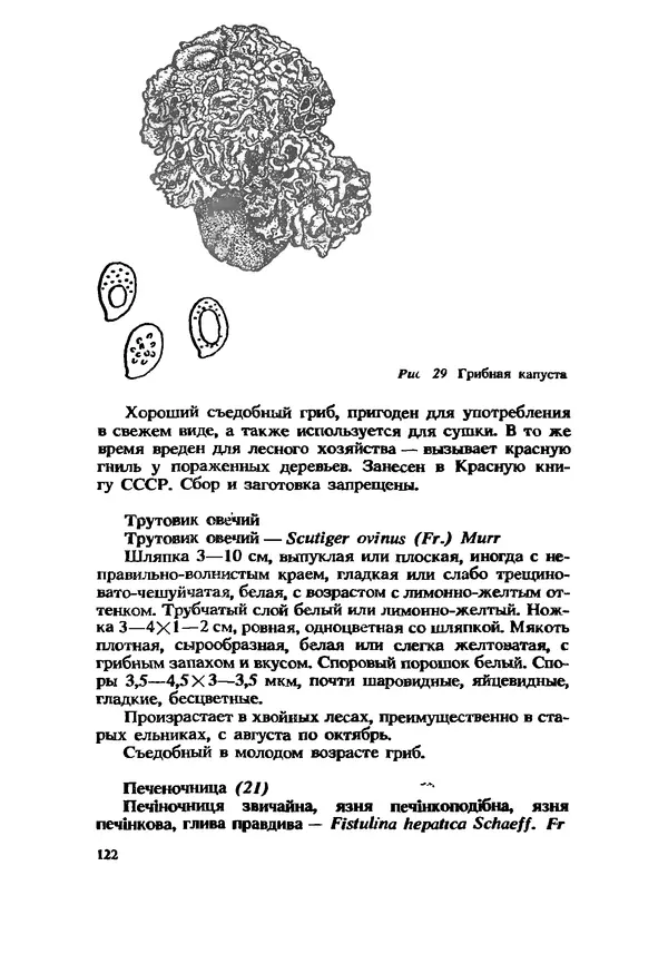 C. Вассер - Съедобные и ядовитые грибы Карпат. Справочник - Страница № 122