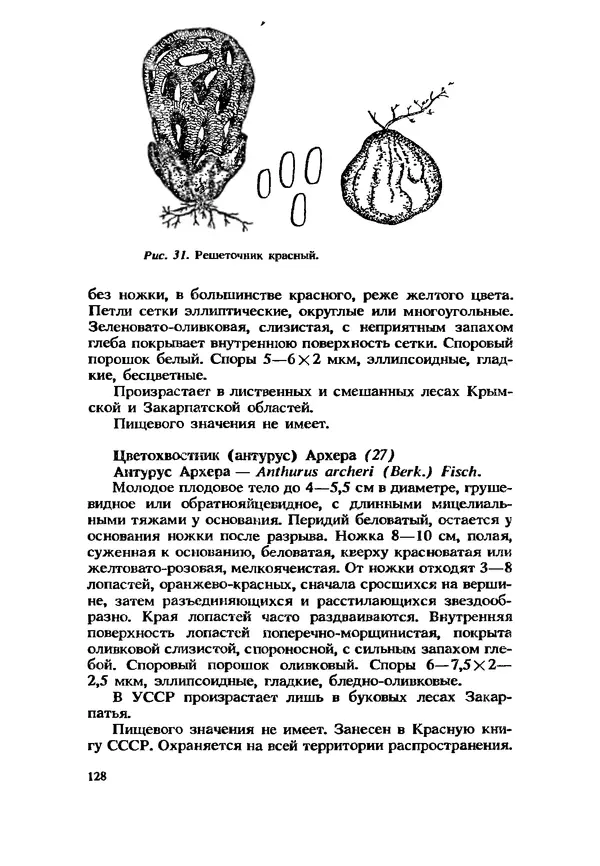 C. Вассер - Съедобные и ядовитые грибы Карпат. Справочник - Страница № 128