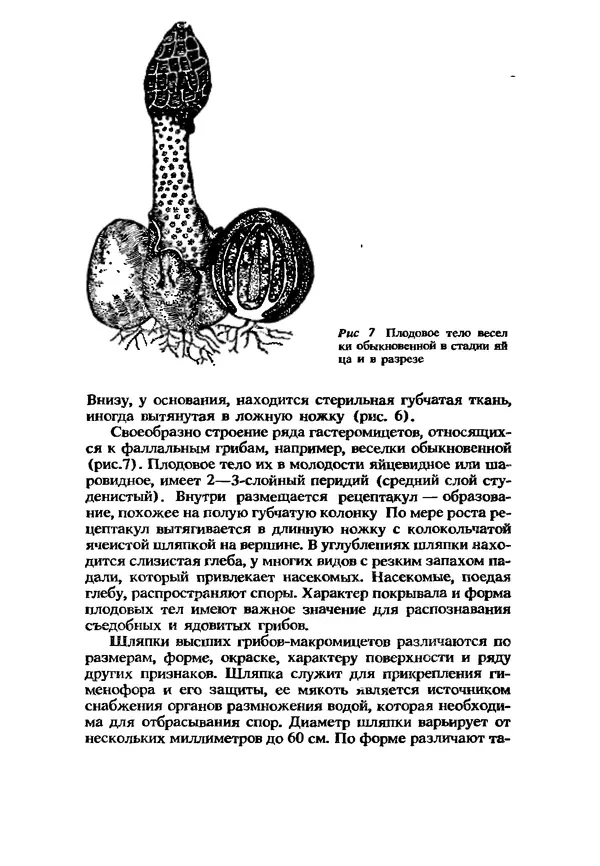 C. Вассер - Съедобные и ядовитые грибы Карпат. Справочник - Страница № 14