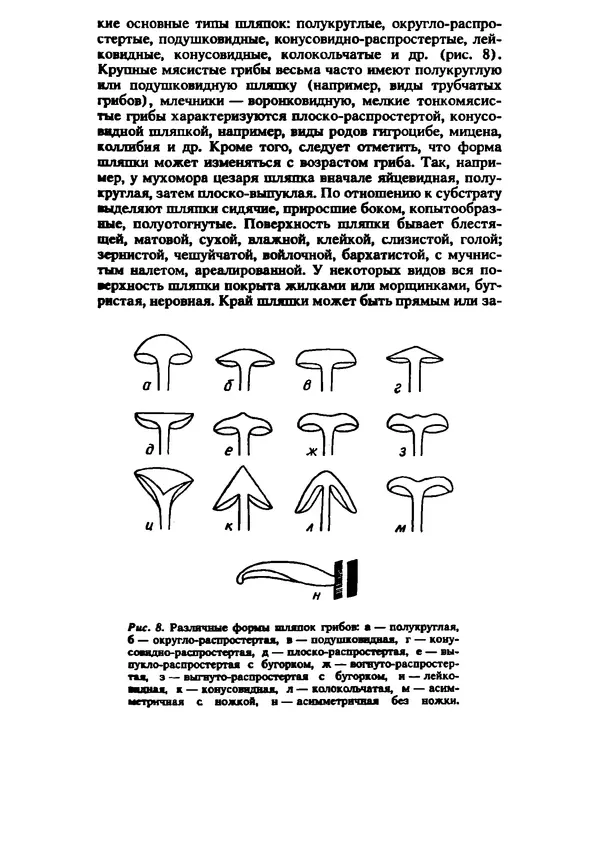 C. Вассер - Съедобные и ядовитые грибы Карпат. Справочник - Страница № 15