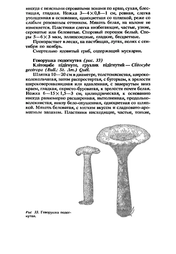 C. Вассер - Съедобные и ядовитые грибы Карпат. Справочник - Страница № 151