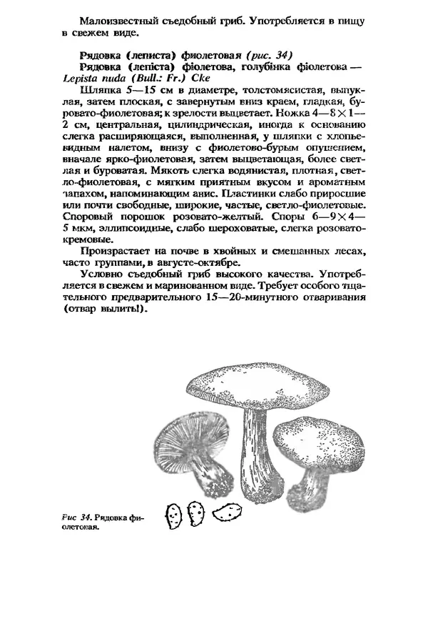 C. Вассер - Съедобные и ядовитые грибы Карпат. Справочник - Страница № 155
