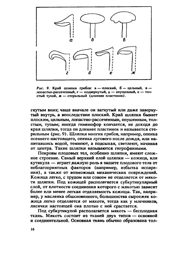 C. Вассер - Съедобные и ядовитые грибы Карпат. Справочник - Страница № 16