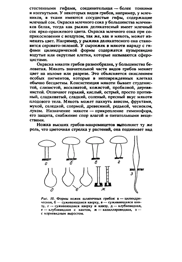 C. Вассер - Съедобные и ядовитые грибы Карпат. Справочник - Страница № 17