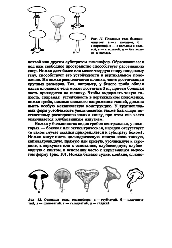 C. Вассер - Съедобные и ядовитые грибы Карпат. Справочник - Страница № 18