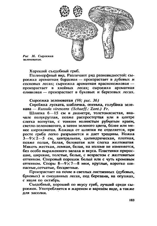 C. Вассер - Съедобные и ядовитые грибы Карпат. Справочник - Страница № 183