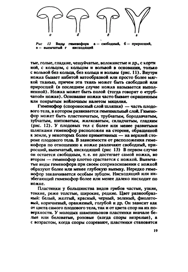 C. Вассер - Съедобные и ядовитые грибы Карпат. Справочник - Страница № 19